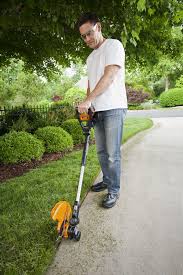 Black And Decker D5 Lawn Edger Blades 20v Maxlithium Worx Gt 2 0 Grass Trimmer Edger Mini Mower Edging Tools Grass Edging Man Cave And Workshop