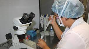 Shtrafy Za Narushenie Sanitarnyh Norm Vyrastut V 10 Raz V Kazahstane 08 Aprelya 2019 11 17 Novosti Na Tengrinews Kz