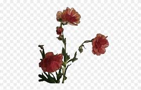 Sticker aesthetic blue sticker by eylül. Flower Sticker Flower Aesthetic Png Clipart 585599 Pikpng