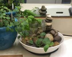 This video will show you lots of tips and tricks, and just how easy this craft is! 18 Indoor Rock Garden Ideas How To Make An Indoor Rock Garden Balcony Garden Web