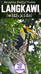 Things To Do In Langkawi With Kids Or Without Malaysia Travel Blog Malaysia Travel Family Travel Blog Langkawi