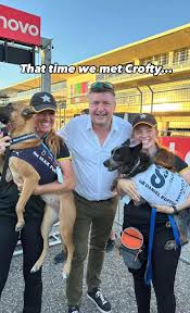 Giving Thanks for 2022...best year so far! 🐾 We celebrated our 11th year  in the Stunt Dog Show business by creating new production elements that  pushed...