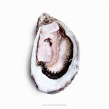 The imprint is dedicated to the pursuit of developing and sharing artists that engage listeners with genuine. Pearl Open By White Room Records