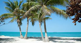 Originally home to key west's post office and district courts, today the custom house is a fascinating museum run by the key west art & historical society. 14 Of The Best Things To Do In Key West Florida Earth Trekkers