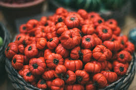 Image result for Solanum aethiopicum