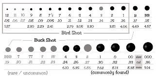 9 Buck Shot Size Chart Dolap Magnetband Co 12 Gauge