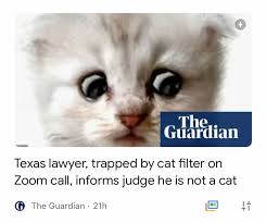 Make lawyer cat memes or upload your own images to make custom memes. The Best Lawyer Memes Memedroid