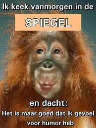 Gekke Plaatjes Grappige Dierencitaten Grappige Apen Grappig
