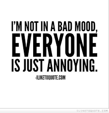 Top 23 Mood Quotes Bad Mood Quotes Annoying People Quotes Good Mood Quotes