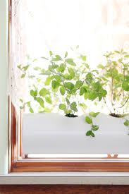 Can be the perfect seed starter indoor set up, keeps your plants away from pets, easy to care for, fun to watch your plants grow.here is an aff. Make A Floating Pvc Window Planter A Beautiful Mess