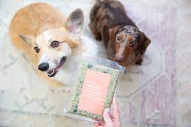 We Tried Spot Tango Dog Food Here S Our Review Dog Food Recipes Dog Lovers Christmas Dog Food Reviews