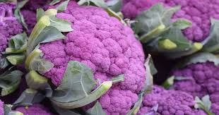 If you'd like to try something different, and maybe save some money in the process, you might be interested in trying edible landscaping using unusual vegetables and fruits for your backyard. Weird Fruit And Veggie App Low Carbe Diem