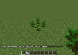 Use the bone powder so that you sow it grows more quickly once you have the necessary elements for sowing, all you have to do is use the seeds or sprouts and sow them in the ground. How Do I Make Big Jungle Trees Arqade