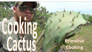 In fact, these fruits can be eaten straight off the cactus. Eating Christmas Cactus Fruit Winter Tasajillo Tunas Youtube