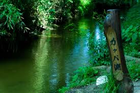 カッパ淵｜東北の観光スポットを探す | 旅東北 - 東北の観光・旅行情報サイト