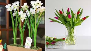 Shop at amazon fashion for a wide selection of clothing, shoes, jewelry and watches for both men and women at amazon.com. Want To Buy Cheap Flowers Near You Try Your Local Trader Joe S Reviewed