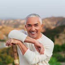 Müşterilerine katma değerli çözümler sunan bir hizmet şirketi. Cesar Millan Youtube