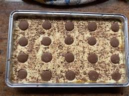 Remove the traybake from the fridge and pour the melted chocolate all over the top, smoothing it out with a spatula to get the chocolate into the corners. Mum Shares Her Recipe For Malteser Cake You Don T Need To Put It In The Oven Or The Fridge