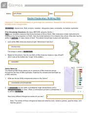 (more)ched materials which i obtained from mysciencebox.com. Building Dna Ws 1 Pdf Name Date Jon Rubano Student Exploration Building Dna Directions Follow The Instructions To Go Through The Simulation Respond Course Hero