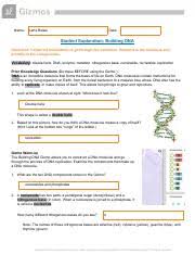 Building dna answer key vocabulary: Building Dna Ws 1 Pdf Name Date Jon Rubano Student Exploration Building Dna Directions Follow The Instructions To Go Through The Simulation Respond Course Hero