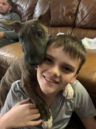 3 years ago at the resque center🤗 Close to gotcha day Greetz from Solomon  & Bastian's dad 🐾🐾 Greetz from Solomon 🐾