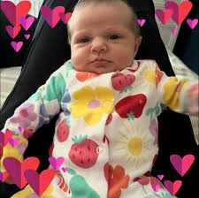 🤣🤣🤣🤣🤣🤣