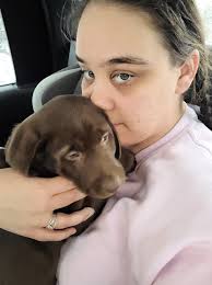 What type of hound mix is my dog?