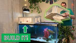 Take your plastic shoe bin and then cut a square hole on it. Diy Above Tank Basking Platform For Turtles Grecian Theme Step By Step Build Part 1 Youtube