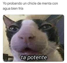 Calebsantons2002 On Twitter No Mames Meme Memes