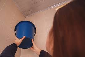 We Don T Often Think About Our Roofs Until It Rains And We Hear That Drip Drip Drip Of A Roof Leak Calling In The Leaking Roof Roof Problems Ceiling Leak