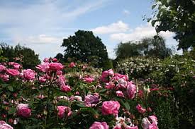 Landmark church, museum and schoolhouse. Royalty Free English Gardens Photos Free Download Pxfuel