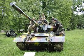 Imagini pentru arsenal park din orastie