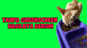 Pin On Green Screen