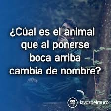 Hola en esta oportunidad les traigo 20 preguntas capciosas muy divertidas, segunda parte. 67 Ideas De Preguntas Capciosas Acertijos Mentales Acertijos Juegos Mentales Imagenes