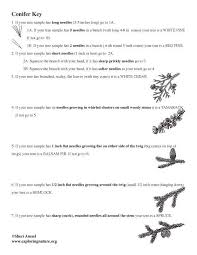 Learn About Dichotomous Keys On Exploringnature Org Dichotomous Key Tree Identification Worksheet Template