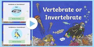 Vertebrate Or Invertebrate Ks2 Powerpoint Teacher Made
