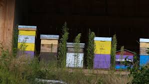 Les débats publics ont vu le jour à la suite de la réunion du conseil européen qui. 9riu1opydlwukm