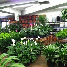 Our location features 14,000 square feet of the freshest cut flowers, indoor plants, high quality pottery and a massive seasonal garden center. Metropolitan Wholesale Cityside Flowers Flower Shop In Saddle Brook