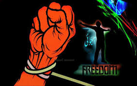 Image result for ‫آجوئی‬‎