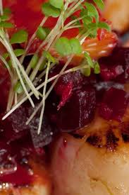 Saint Jacques A La Betterave Saint Jacques Savoureux Recette Saint Jacques