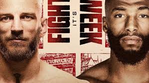 UFC hoje: horário, onde assistir ao vivo e os brasileiros do card