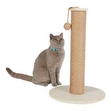 How to make a cat scratcher. Willow S Wooden Cat Scratch Post Pets At Home