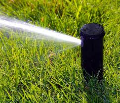 A nice gradual fade from red, yellow to green create the sweet rasta theme. Water Smart Toro