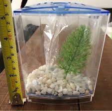 Find the best betta tank mates for any size aquarium, how many buddies to add and more from this i recommend only getting a single snail for a small betta tank, since there may not be enough food to. Small Hexagon Betta Tank Pet Supplies For Fish Fish Tanks On Carousell