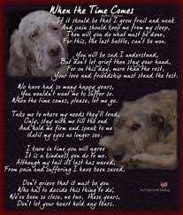Pin On Quotes Writings