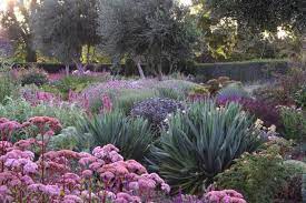 We did not find results for: Drought Tolerant Garden In Australia At Lambley Nursery Gardenista Drought Tolerant Landscape Drought Tolerant Garden Xeriscape