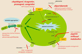 Image result for Drug Induced Platelet Dysfunction