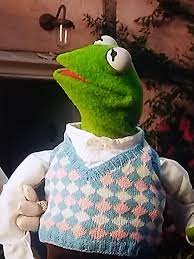 Kermit's Vest says Trans Rights : rtraaaaaaannnnnnnnnns