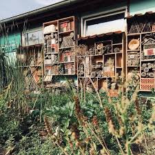 Gestern Im Radio Location War Das Vereinsheim Der Kleingartenanlage Am Fuchsberg In Berlin Marzahn Passend Zu Kleiner Garten Gartenanlage Gartengestaltung