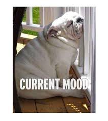 65 Funny Tired Memes Tired Quotes Funny Tired Funny Work Humor